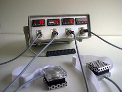 Urtikaria Temptest Prototyp