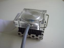 Urtikaria Temptest Prototyp
