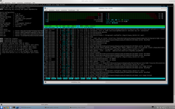 Kompilierung einer embedded Linux Distribution